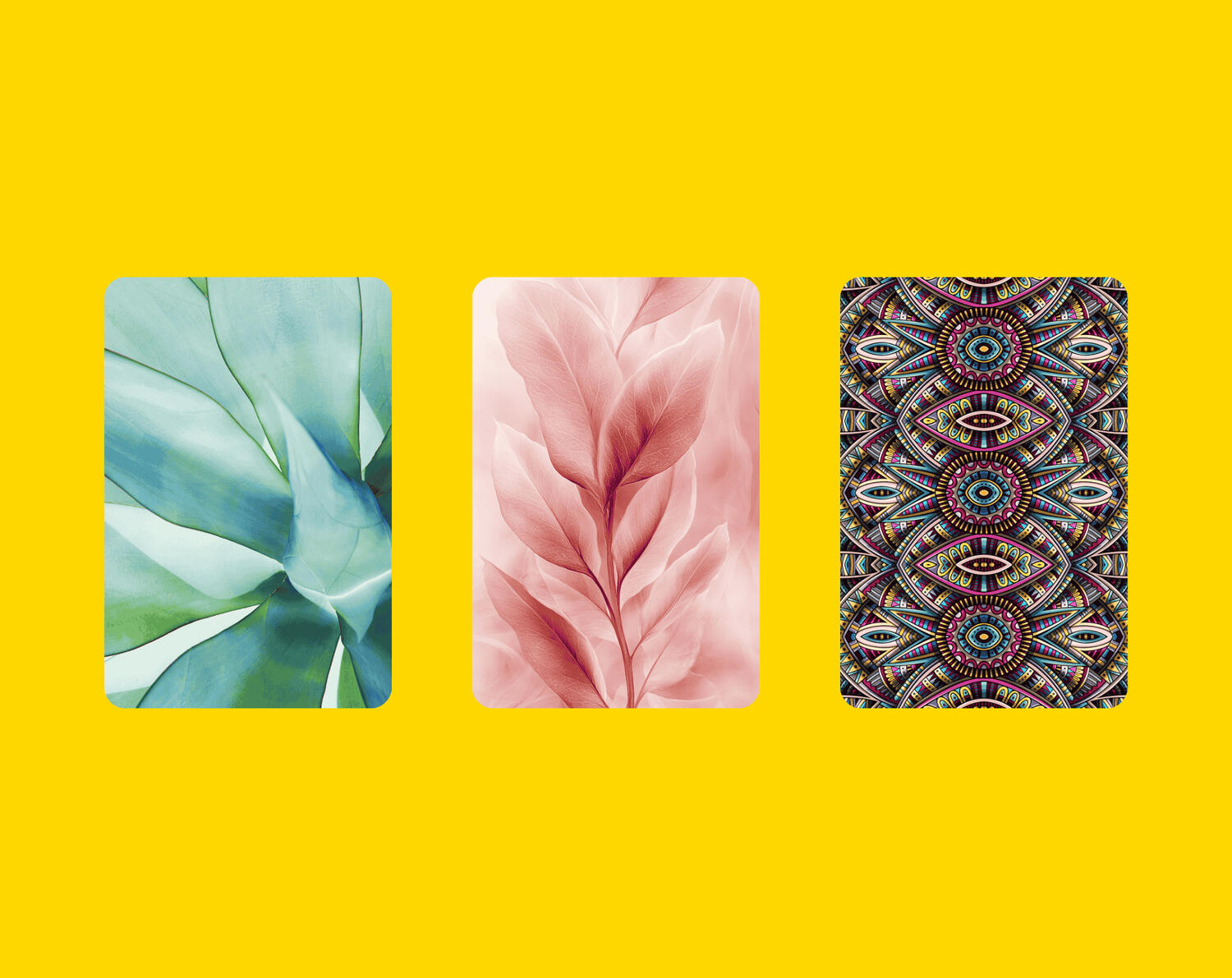 3 deck options for next 3 months pick a card reading