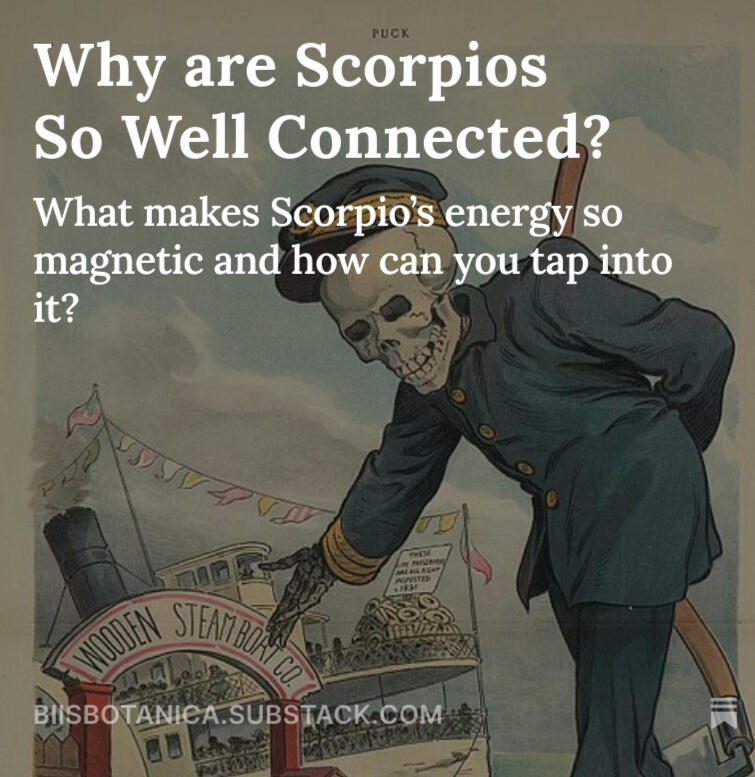 Scorpio energetic trait as the magnetic grim reaper in personal connections